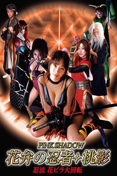 Poster for Pink Shadow