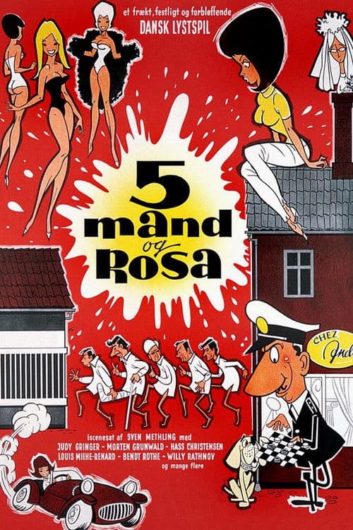 Poster for Five men and Rosa