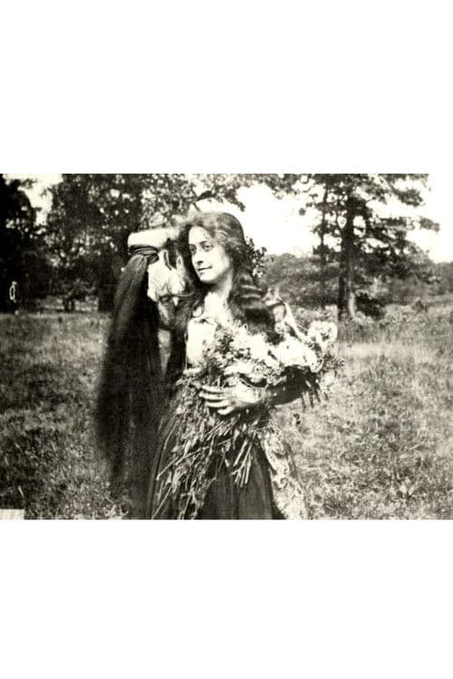 Poster for The Little Minister