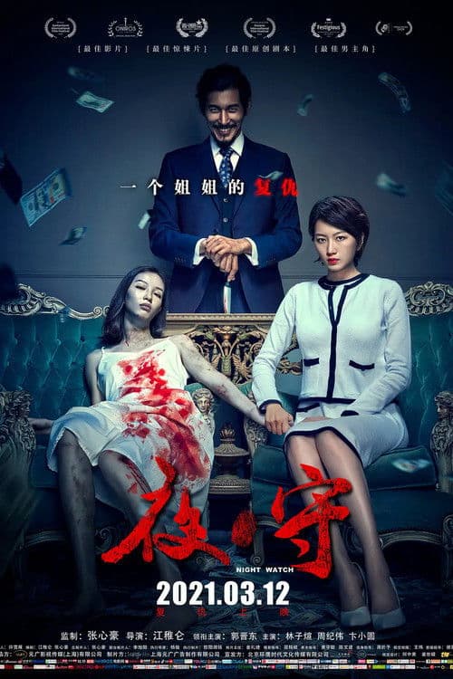 Poster for Night Watch