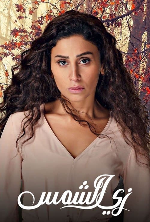 Poster for Like the Sun