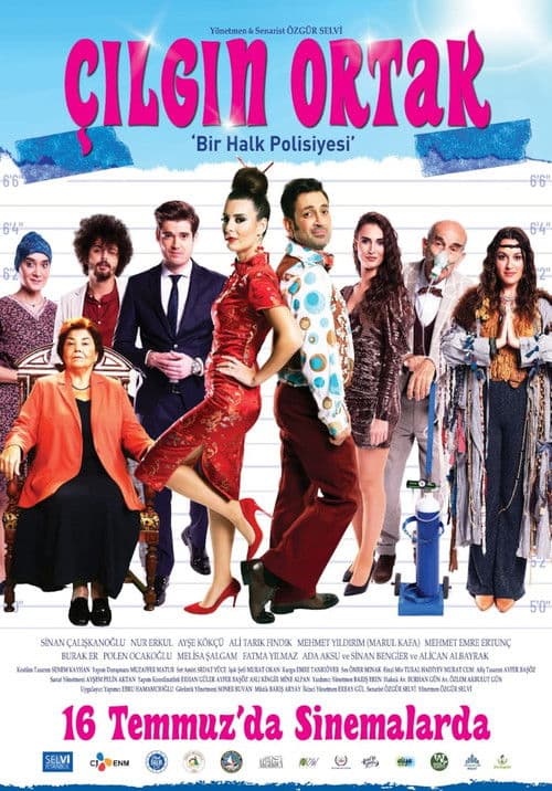 Poster for Çılgın Ortak