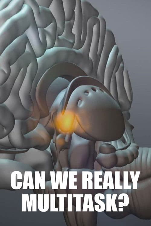 Similar title Multitasking – How Much Can We Do Simultaneously?
