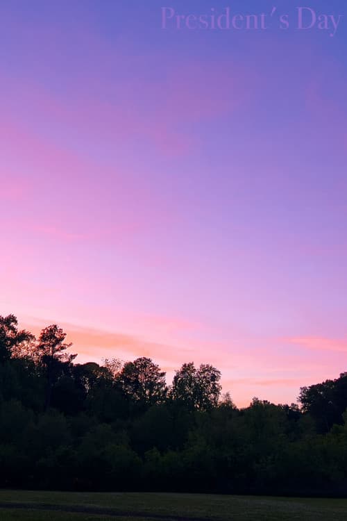 Poster for President's Day