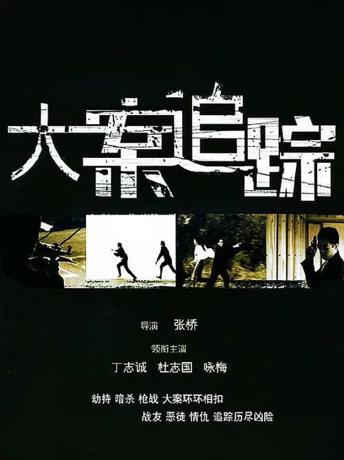 Poster for 大案追踪