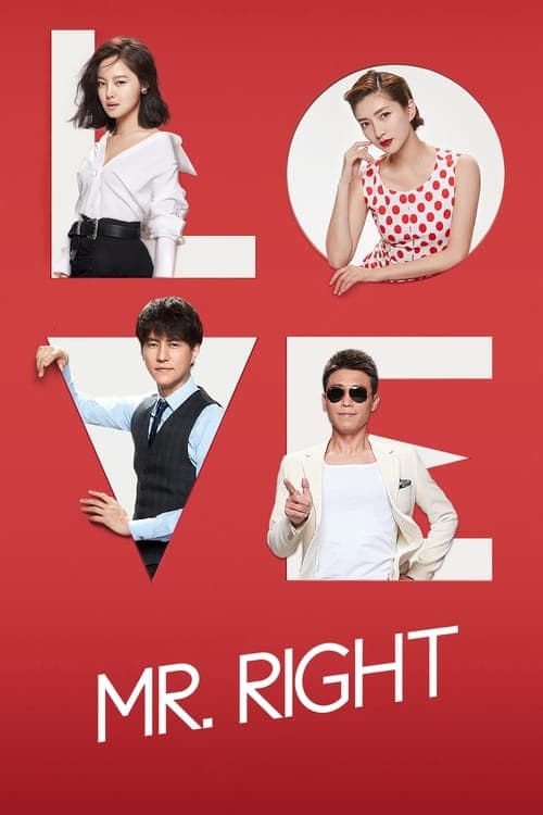 Poster for Mr. Right
