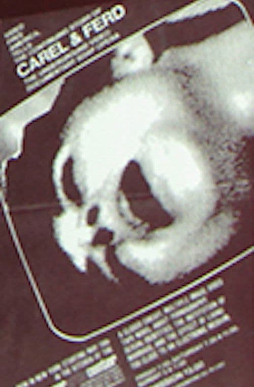 Similar title The Continuing Story of Carel and Ferd