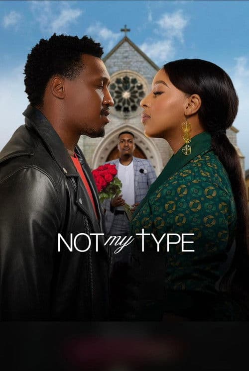 Poster for Not My Type
