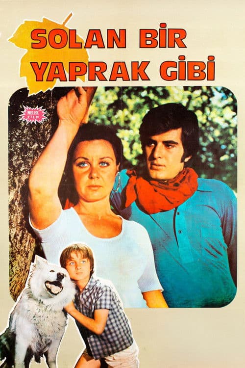 Poster for Solan Bir Yaprak Gibi