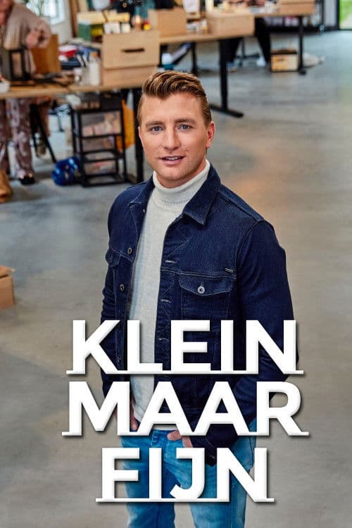 Poster for Klein maar fijn