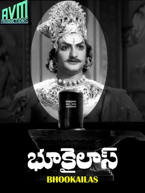 Poster for Bhookailas