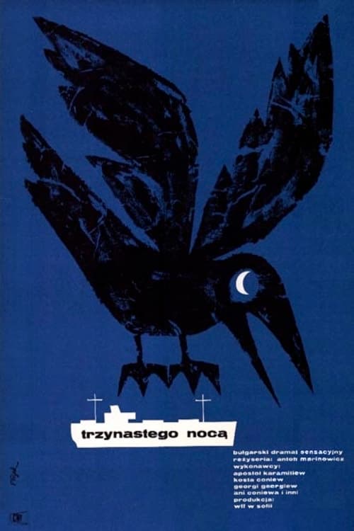 Poster for The Night of 13th