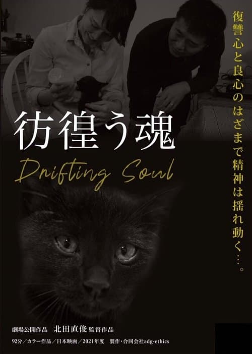 Poster for Drifting Soul