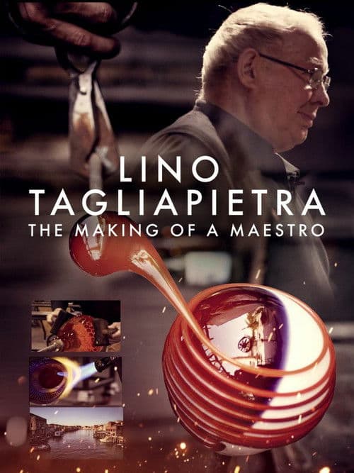 Similar title Lino Tagliapietra: The Making of a Maestro