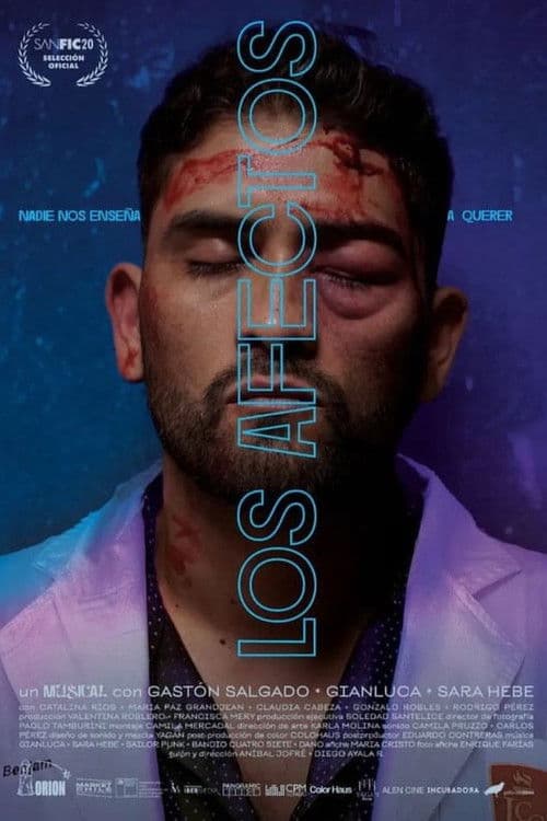 Poster for Los afectos