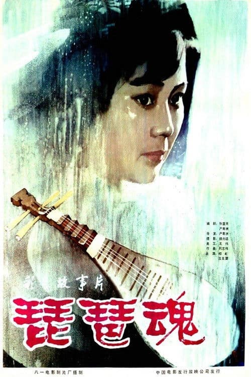 Poster for 琵琶魂