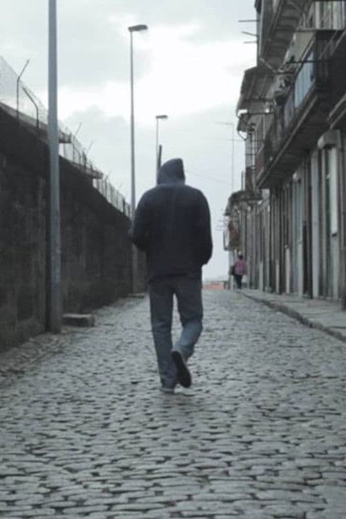 Poster for Video Surveillance