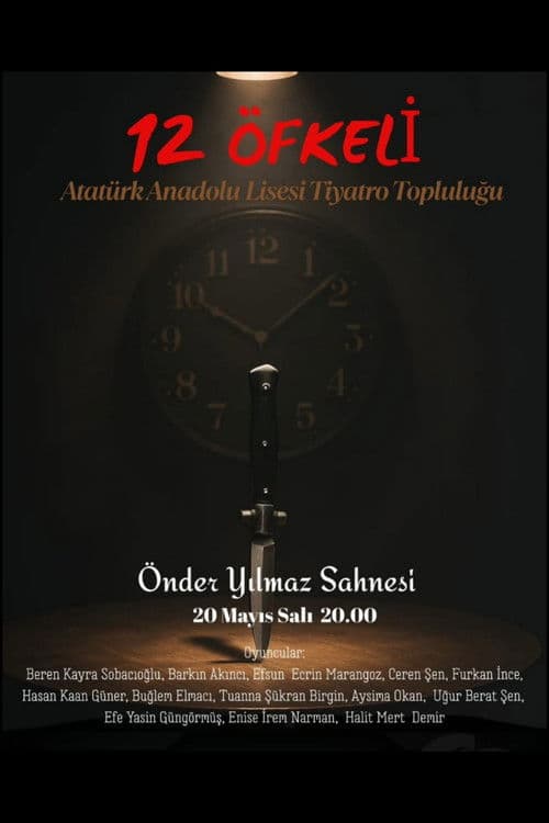 Poster for 12 Kızgın