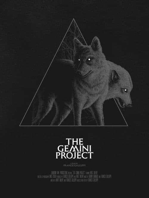 Poster for The Gemini Project