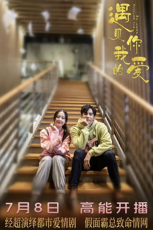 Poster for Meeting You My Love