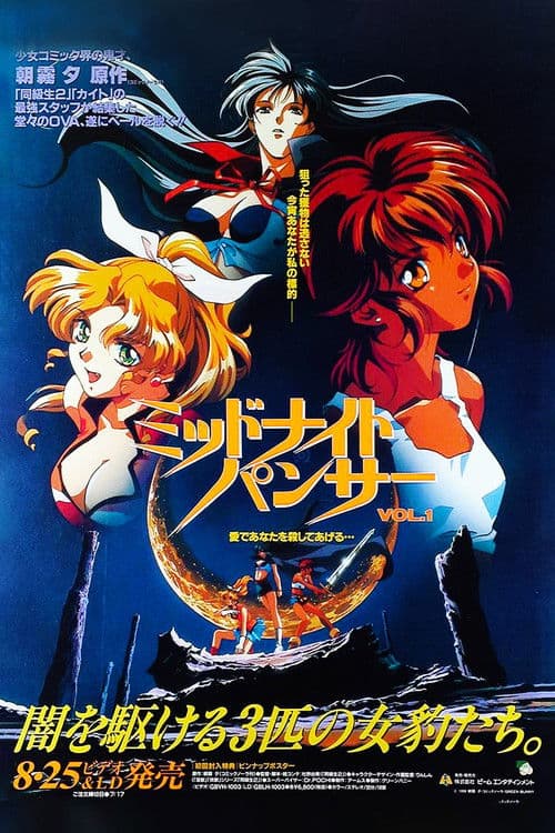 Poster for Midnight Panther