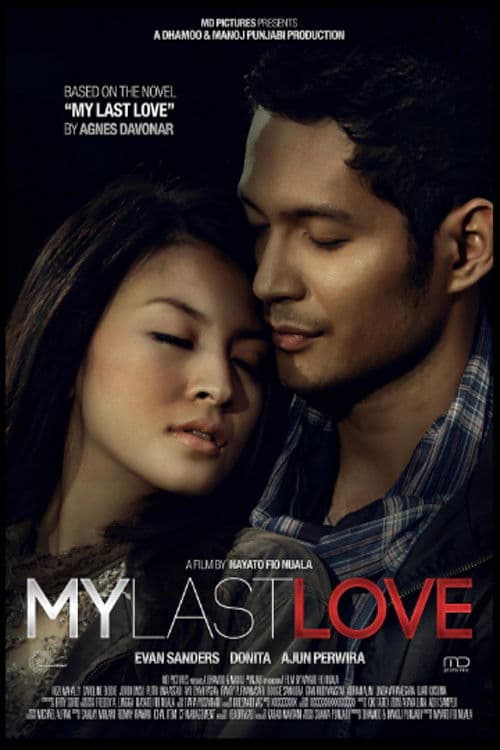 Poster for My Last Love