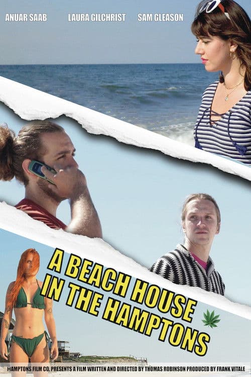 Poster for A Beach house in The Hamptons