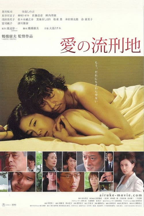 Poster for Love Never to End