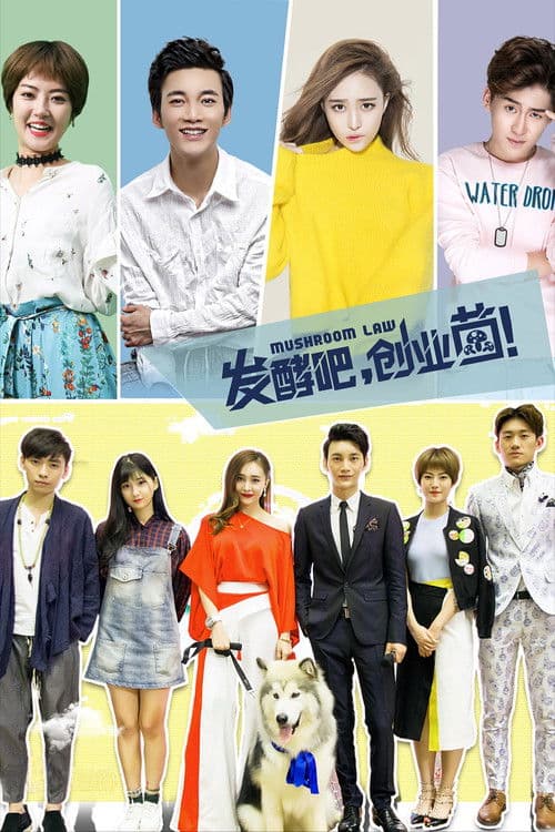 Poster for Mushroom Law