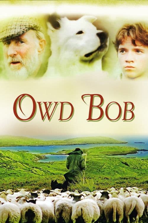 Poster for Owd Bob