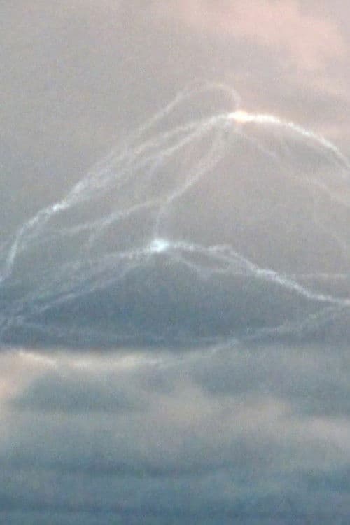 Poster for Grain of Truth