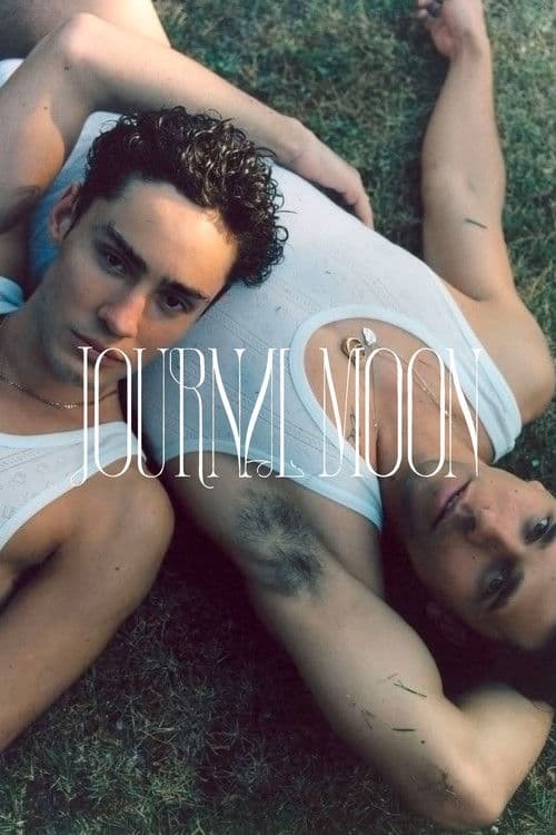 Poster for Transition