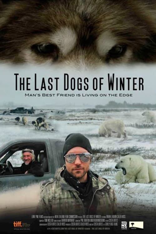 Poster for The Last Dogs of Winter