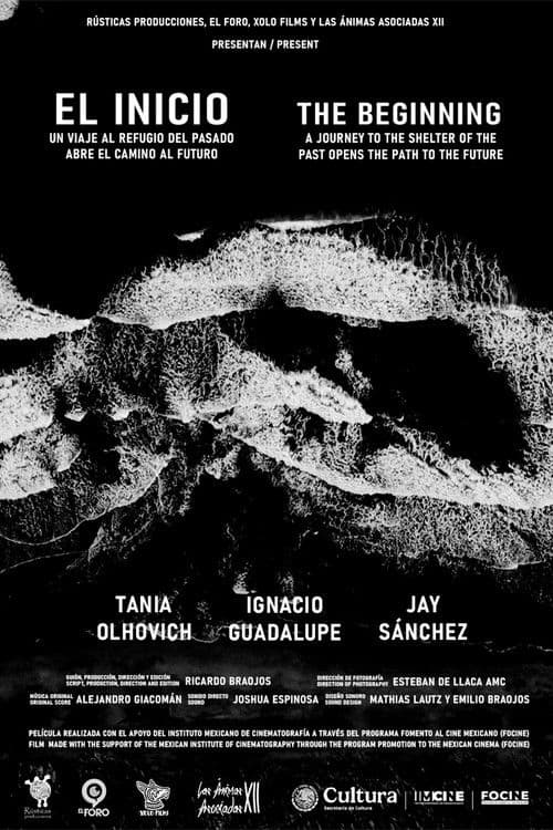Poster for The Beginning