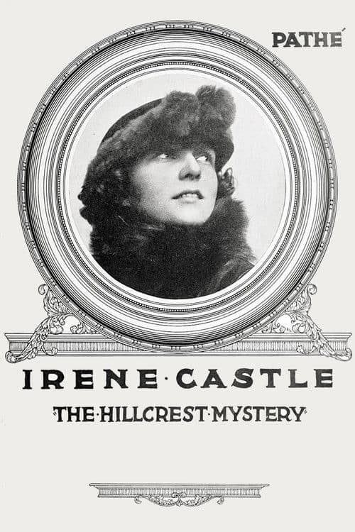 Poster for The Hillcrest Mystery