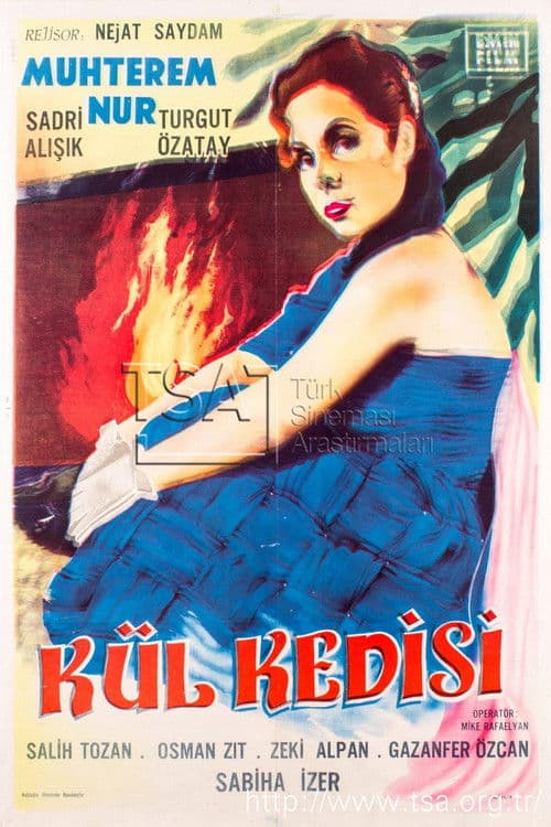 Poster for Kül Kedisi