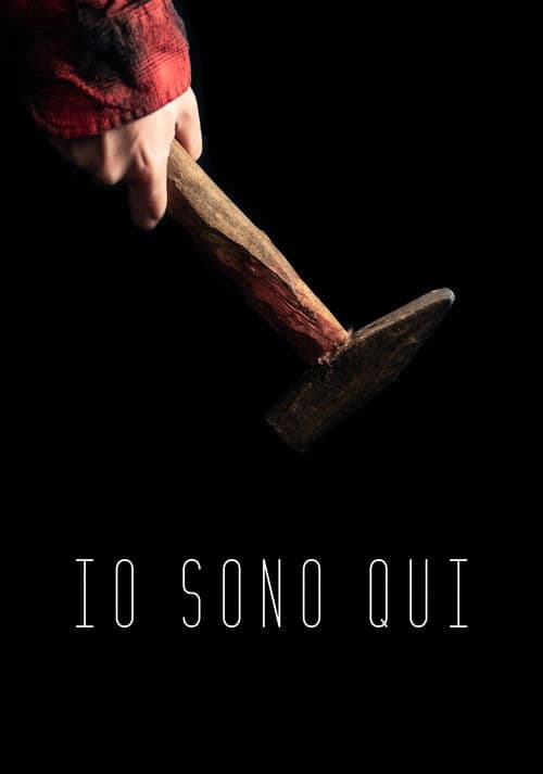 Poster for Io Sono Qui