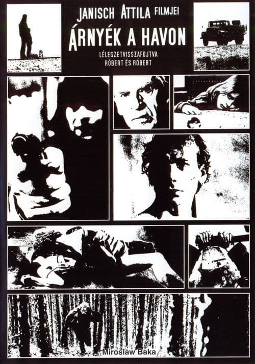 Poster for Shadow on the Snow