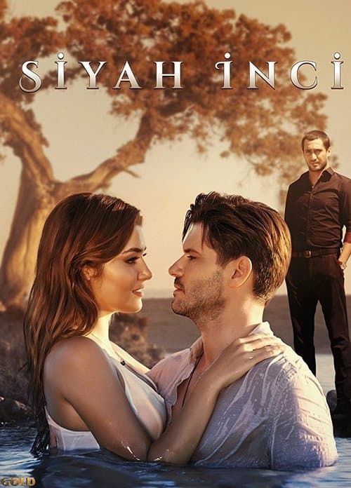 Poster for Siyah İnci