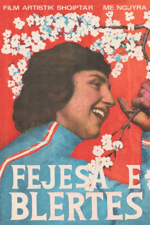 Poster for Blerta's Engagement