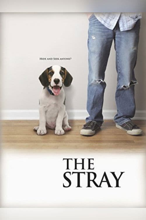 Poster for The Stray