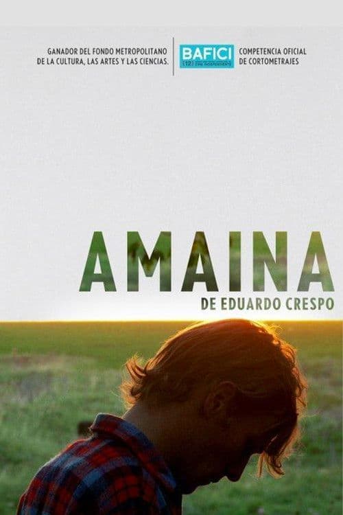 Poster for Amaina