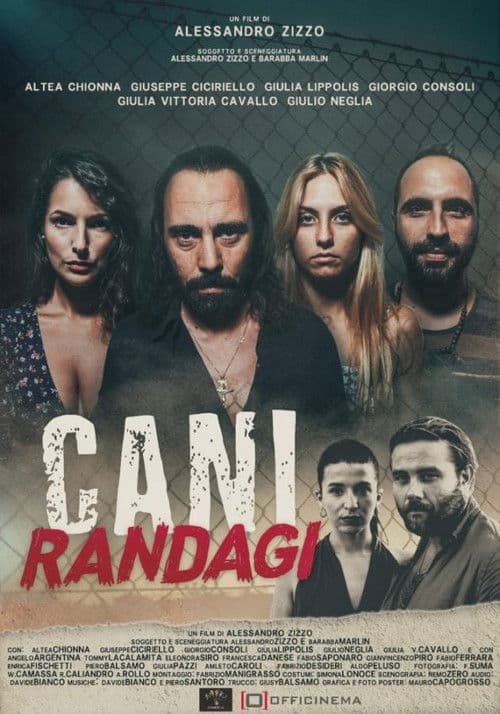Poster for Cani randagi