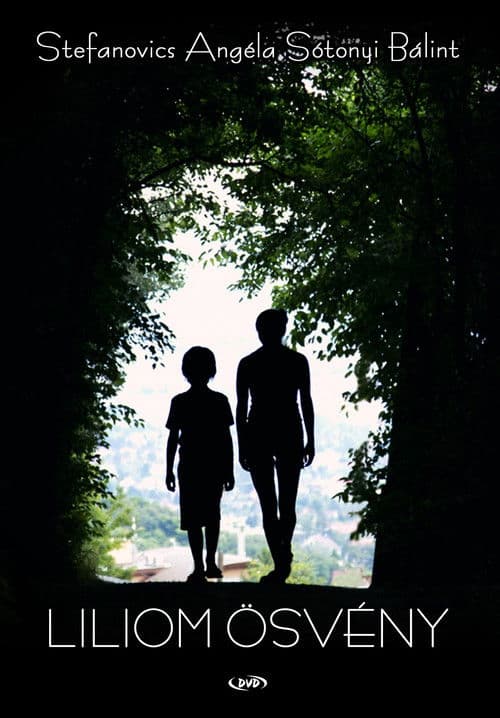 Poster for Lily Lane