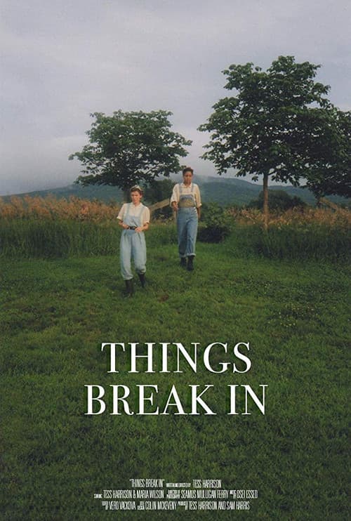 Poster for Things Break In