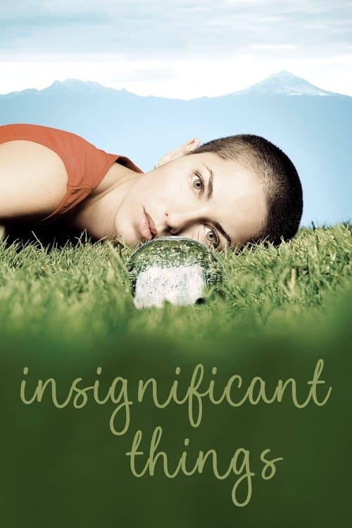 Poster for Insignificant Things