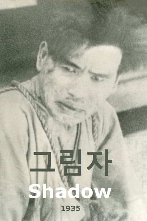 Poster for Shadow