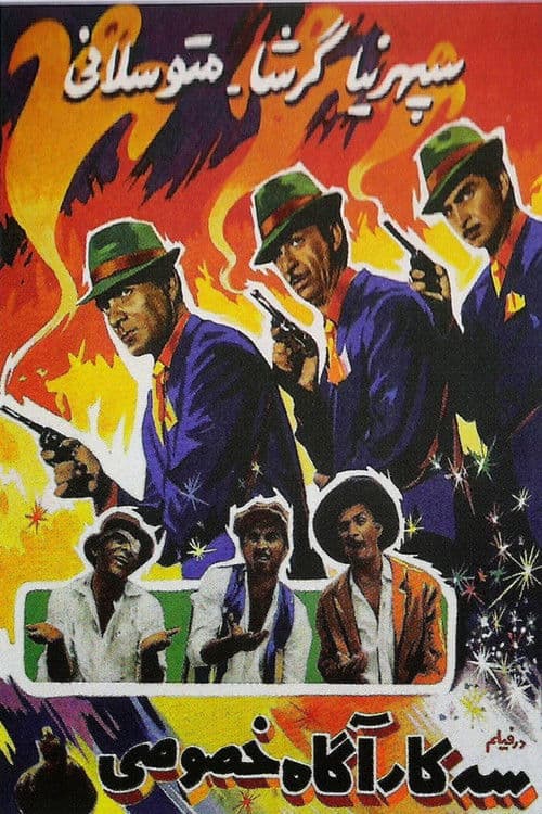 Poster for Three Private Detectives