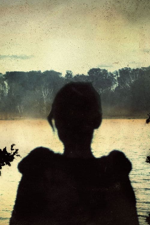 Poster for Porcupine Tree: Never Stop the Car on a Drive in the Dark