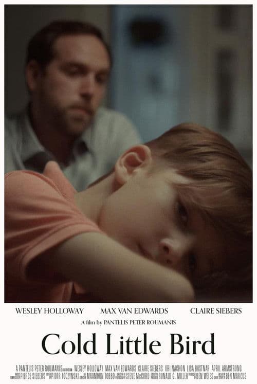 Poster for Cold Little Bird